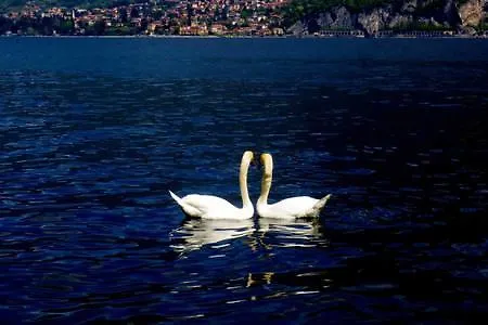 Romantica Terrazza *